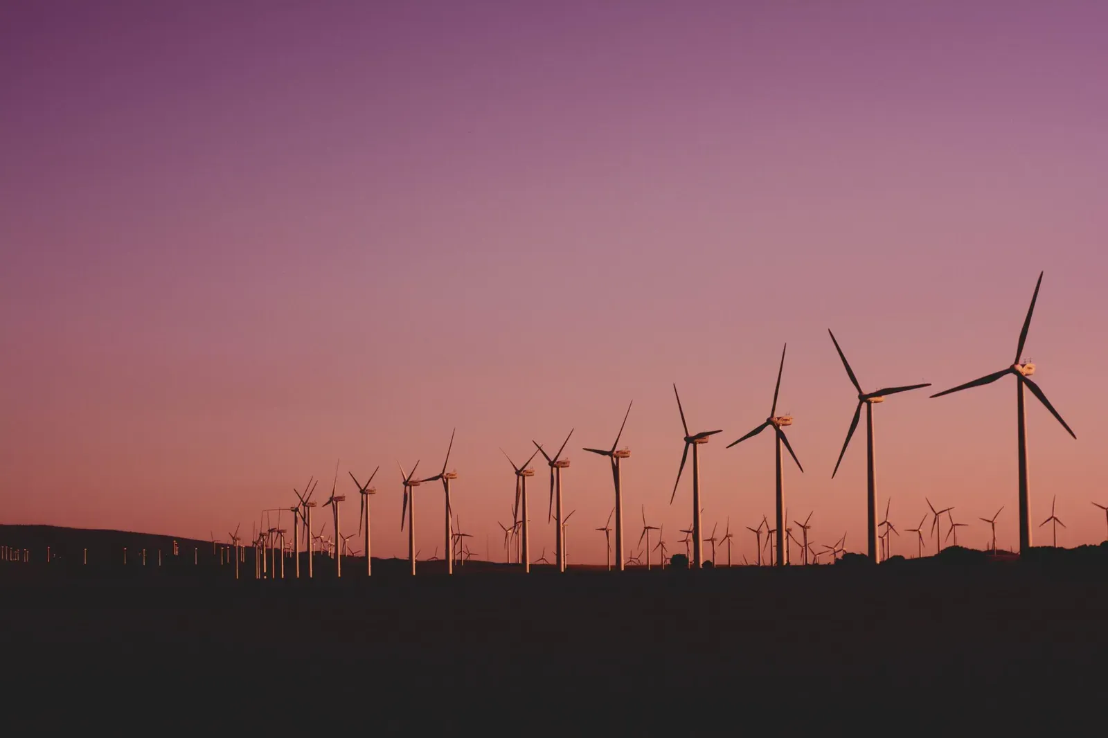champ d'éoliennes
