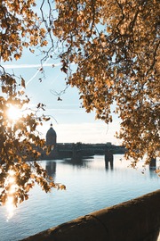 Yalink à Toulouse