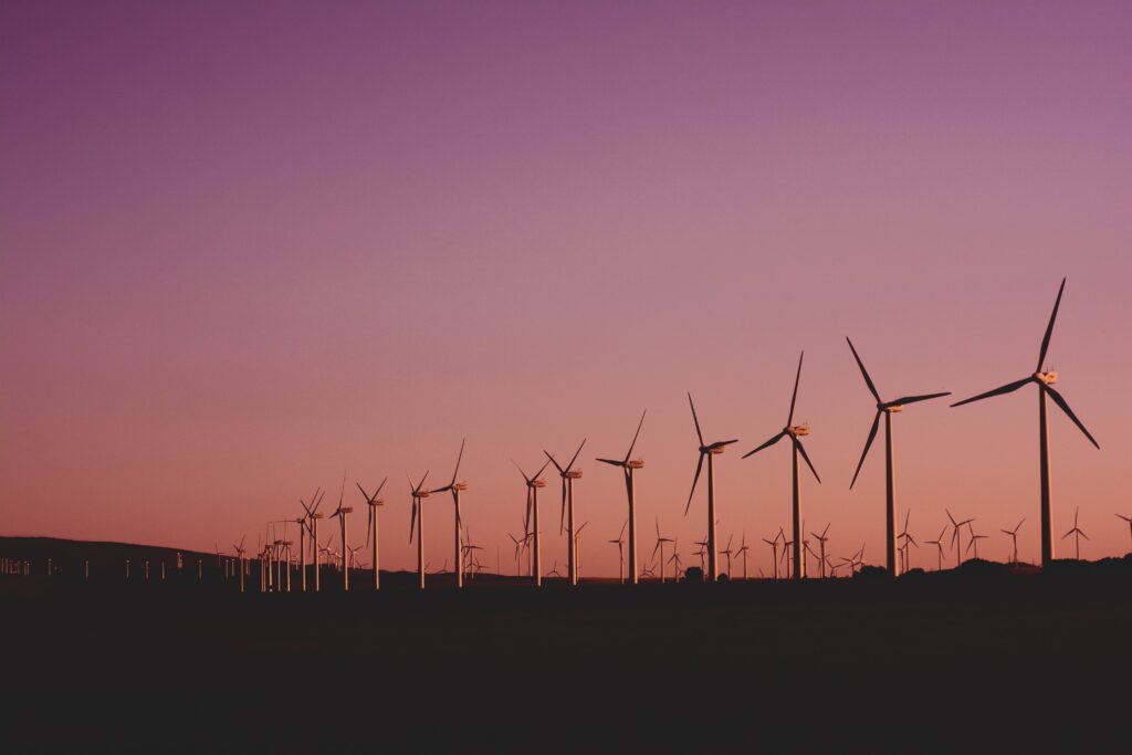 champ d'éoliennes